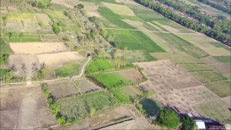 Aerial-shot-of-Banjarejo-village,-Blora-Regency,-Central-Java-Province,-Indonesia