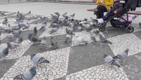 Happy-family-on-bench-feeds-group-of-pigeons-downtown-square