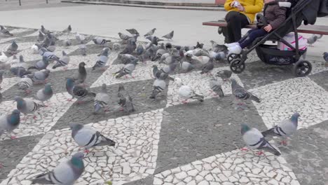 Familia-Feliz-En-Un-Banco-Alimenta-A-Un-Grupo-De-Palomas-En-La-Plaza-Del-Centro