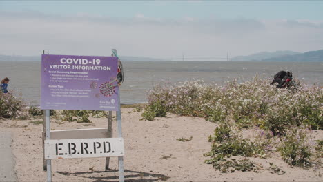 Wide-shot-of-beach