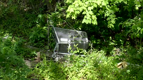 Shopping-cart-left-in-the-woods