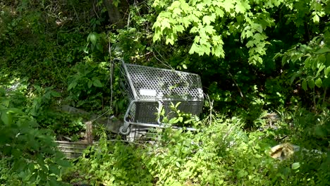 Einkaufswagen-Im-Wald-Zurückgelassen