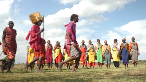 Maasai-Tribal-Warriors-march-in-front-of-the-singing-and-dancing-Maasai-Women-in-their-Traditional-clothes-and-weapons-in-a-Enkang-around-the-Masai-Mara-National-Park-in-Kenya-in-4K