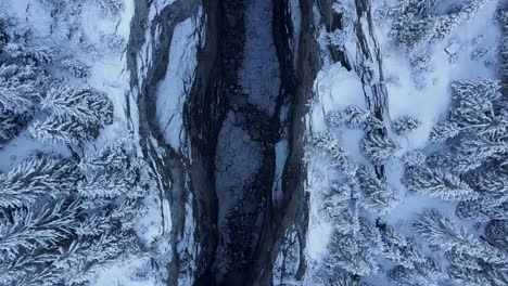 centered-dolly-shot-of-a-gorge-in-winter-from-a-top-down-view-in-the-swiss-alps-in-Grindelwald