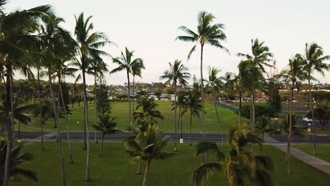 Drohnenaufnahme-Eines-Fluges-Um-Die-Palmen-Auf-Dem-Campus-Der-Brigham-Young-University-Hawaii-Während-Der-Sonnenuntergangsstunden