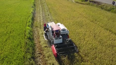 Aerial-drone-shot-of-farmers-harvesting-rice-using-a-modern-harvester-machine