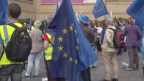 Una-Multitud-De-Personas-En-Una-Manifestación-A-Favor-De-La-UE.