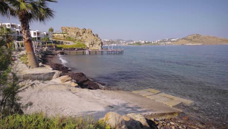 Paisaje-De-Puerto-De-Hormigón-Y-Palmeras-Mientras-Las-Olas-Llegan-A-La-Orilla-Bajo-El-Brillante-Cielo-Abierto