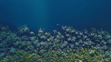 Aerial:-Kayaking-next-to-mangrove-in-the-Ocean,-relaxed