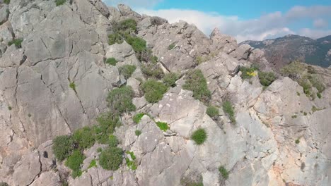 Drone-shot-of-an-ascending-view-of-a-cliff-and-at-the-edge-a-girl-sitting-down-and-a-dog-barks