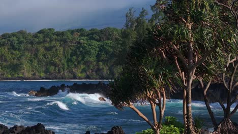 Paradise-view-of-waves-and-lush-vegetation-on-north-coast-of-Maui,-Hawaii