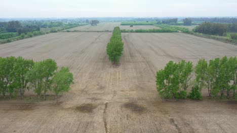 Vista-Aérea-Del-Suelo-Del-Paisaje-Agrícola-En-Preparación-Para-Sembrar-Semillas-De-Soja-Negra-Y-Plantar-Trigo,-Drones-Moviéndose-Hacia-Atrás-Lentamente