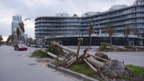 Un-árbol-Dañado-Por-El-Huracán-Junto-A-La-Calle-En-Miami,-Florida