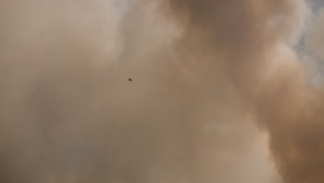 Five-Mile-Swamp-Fire-in-Santa-Rosa-County-from-May-2020