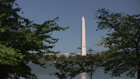 Statische-Aufnahme-Des-Washington-Monument-Obelisken,-Eingerahmt-Von-Bäumen-In-Washington-D.C.,-USA