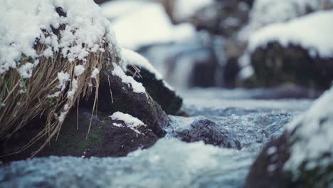 Stream-in-snowy-forrest