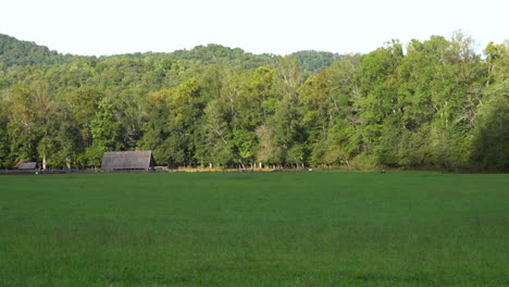 Wide-Landscape-Shot-of-The-Great-Smokey-Mountains-with-a-Single-Elk