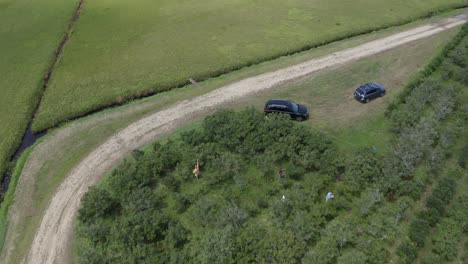 Lush-green-blueberry-fields-picking-at-Massachusetts-aerial-reveal