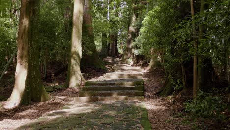 Kumano-Kodo-pilgrimage-trail,-highlighting-the-Diamon-zaka-staircase,-tranquil-and-peaceful