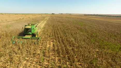 Wide-aerial-shot-of-the-front-of-a-John-Deere-combine-harvester-tractor-with-spinning-corn-heads-moving-in-a-straight-line-across-a-golden-field-with-a-blue-sky-that-zooms-out-for-a-wider-view