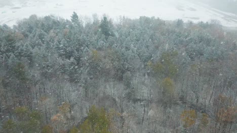 Aerial-shot-of-a-small-forest-and-snowflakes-coming-from-behind-the-camera