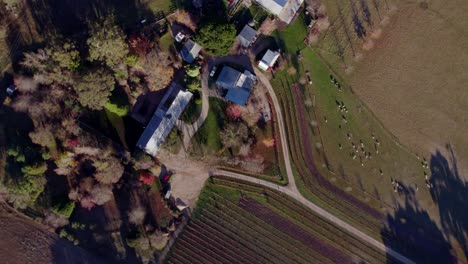 Heart-shaped-driveway-on-boutique-winery-autumn,-Aerial-sprial