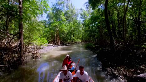 AMAZON,-BRAZIL:-Unique-Experience-of-Motorized-Canoe-Ride-Through-Amazon's-Tributaries,-Observing-Mangroves-and-Surrounding-Wildlife