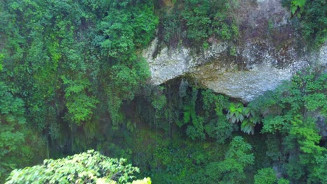 Hermosa-Vista-Aérea-Con-Drones-En-La-Selva-Tropical-Cerca-Del-Pueblo-Mágico-De-Xico,-Veracruz,-México