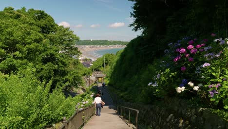 Stunning-ocean-scenery-in-Kamakura-during-summer