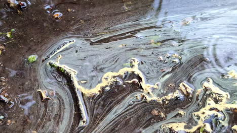 Close-up-shot-of-dirty-water-flowing-on-the-ground-after-rainfall-at-daytime
