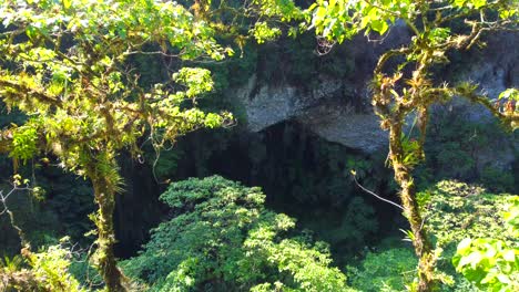 Hermosa-Vista-Aérea-Con-Drones-En-La-Selva-Tropical-Cerca-Del-Pueblo-Mágico-De-Xico,-Veracruz,-México