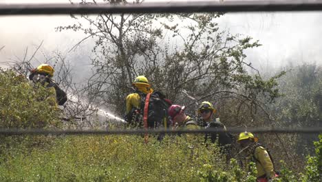 Feuerwehrleute-Reagieren-Auf-Großen-Buschbrand