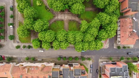 Green-vibrant-park-and-rooftops-of-old-buildings-in-Klaipeda,-aerial-view