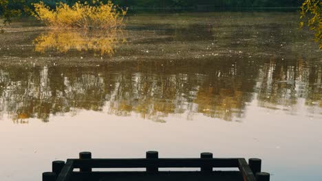 Ducks-Flying-Across-Lake-in-Slow-Motion-as-Camera-Moves-Forwards-Towards-Jetty