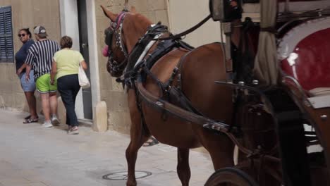 Eine-Pferdekutsche-Fährt-Durch-Die-Engen-Gassen-Von-Mdina,-Malta,-Verkörpert-Zeitlosen-Charme-Und-Bietet-Einen-Einblick-In-Die-Historische-Erkundung