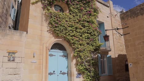 A-blue-door-adorns-a-house-in-Mdina,-the-ancient-capital-of-Malta,-with-ivy-cascading-above,-and-adorned-with-purple-flowers