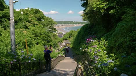 Beautiful-cinematic-push-in-toward-ocean-with-steps-and-hydrangea