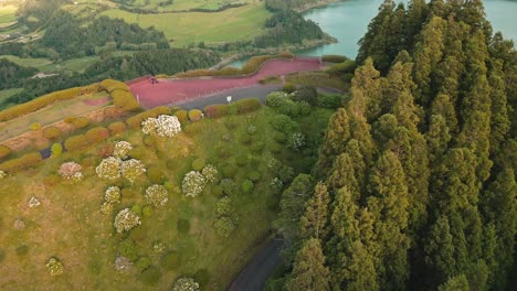 Sobrevuelo-Con-Drones-Desde-El-Mirador-Pico-Do-Ferro-Que-Revela-El-Impresionante-Paisaje-De-La-Laguna-De-Furnas,-Azores