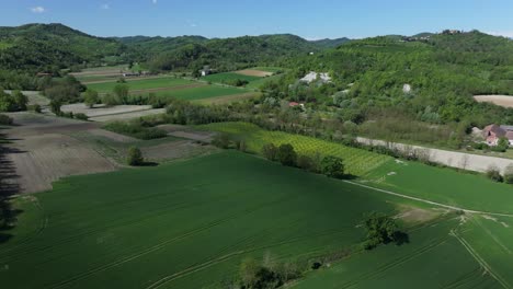 vegetable-fields-in-ancient-farming-plots-near-Gabiano,-Italy-during-late-spring