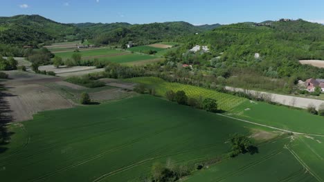 Gemüsefelder-Auf-Alten-Landwirtschaftlichen-Parzellen-In-Der-Nähe-Von-Gabiano,-Italien-Im-Späten-Frühjahr