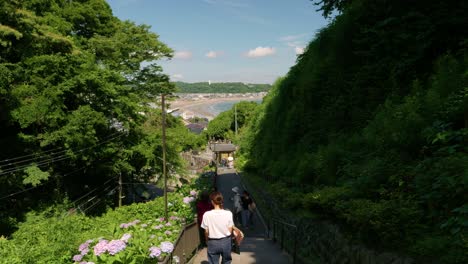 Slowly-walking-down-steps-toward-ocean-in-Kamakura