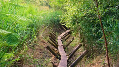 Ancient-Sweet-Track-neolithic-single-plank-pathway-winding-through-peat-wetlands-on-the-Somerset-Levels-in-England-UK