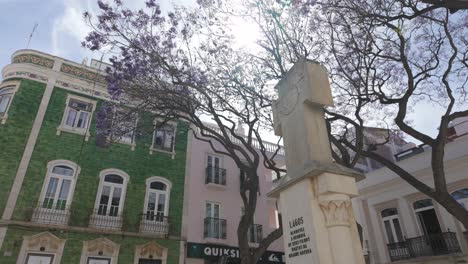 Sunlight-shines-through-jacaranda-trees-at-Praça-Luís-de-Camões-in-Lagos,-Portugal