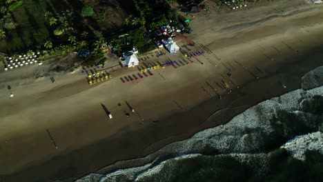 Where-a-lot-of-tourists-are-showing-up-and-there-are-a-lot-of-toasts-on-the-seeds