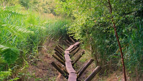 View-of-Sweet-Track,-neolithic-wooden-single-plank-trackway-in-peat-wetlands-at-Shapwick-Heath,-Somerset-Levels-in-England-UK