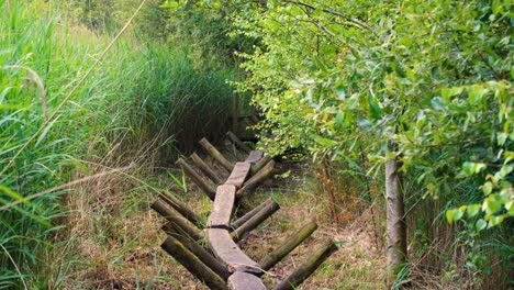 Scenic-view-of-neolithic-Sweet-Track-raised-wooden-single-plant-walkway-on-the-Somerset-Levels-in-England-UK