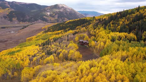 Vista-Aérea-De-La-Casa-De-Campo-En-El-Bosque-De-álamos-Amarillos,-Paisaje-De-Colorado-Usa-En-La-Temporada-De-Otoño