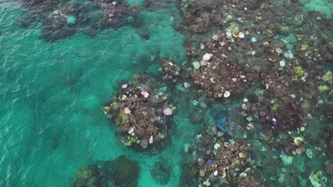 Birdseye-Aerial-View-of-Coral-Reefs-in-Great-Barrier-Reef,-Australia
