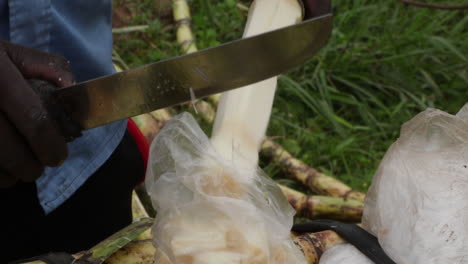 Man-peeling-sugarcane-with-a-knife-outdoors,-packing-them-in-a-bag