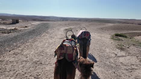 Excursión-De-Un-Día-A-Camello-En-El-Desierto-De-Agafay,-Método-De-Transporte-Nómada-árabe.